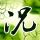 鲁豫有约