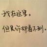 极度隐私